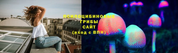 твердый Зерноград