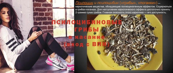 твердый Зерноград