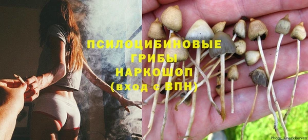 спиды Зеленокумск