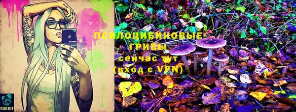 твердый Зерноград