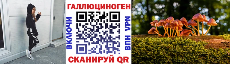 Псилоцибиновые грибы GOLDEN TEACHER Купить где Похвистнево